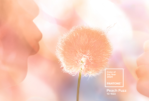 Pantone Color of the Year 2024 Peach Fuzz